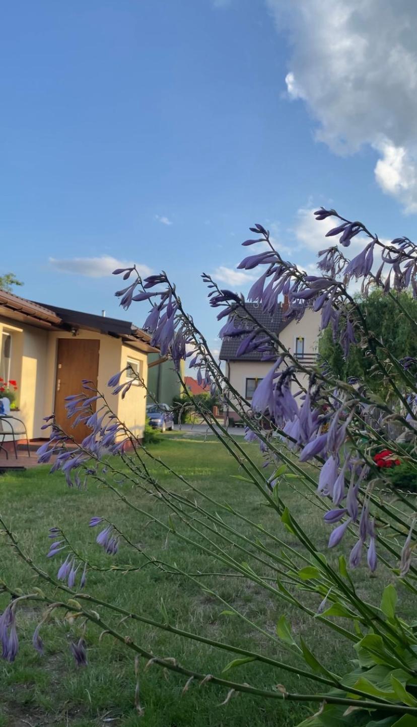 U Agi Apartman Nowogród Kültér fotó